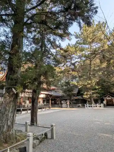 建部大社の{uncategorized: "未分類", other: "その他", undefined: "問題あり", building: "その他建物", grave: "お墓", sacred_gate: "鳥居", guardian: "狛犬", statue: "像", buddha: "仏像", history: "歴史", nature: "自然", garden: "庭園", animal: "動物", pagoda: "塔", temizu: "手水舎", mountain_gate: "山門・神門", sanctuary: "本殿・本堂", subordinate: "末社・摂社", art: "芸術", scenery: "景色", jizo: "地蔵", ema: "絵馬", goshuin: "御朱印", omikuji: "おみくじ", items: "授与品その他", amulet: "お守り", goshuincho: "御朱印帳", eats: "食事", festival: "お祭り", votive_dance: "神楽", shichigosan: "七五三参", wedding: "結婚式", experience: "体験その他", initially: "初詣", around: "周辺", anti_infection: "感染症対策"}
