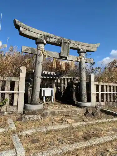 彌彦神社奥宮（御神廟）の鳥居