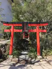 箱根神社の鳥居