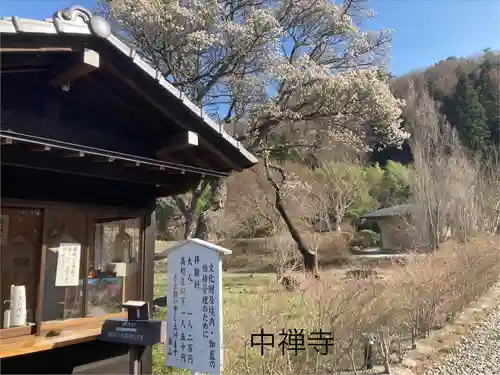 中禅寺(長野県)