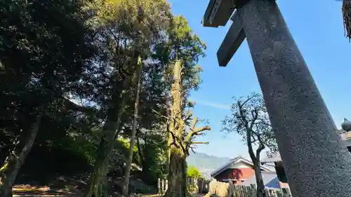 勝手神社(福井県)