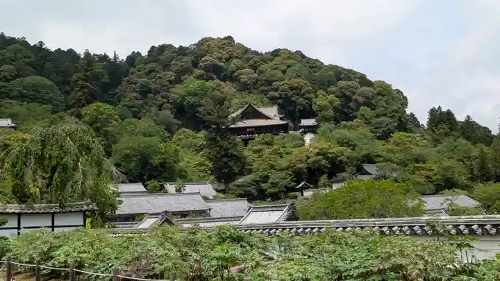 長谷寺(奈良県)