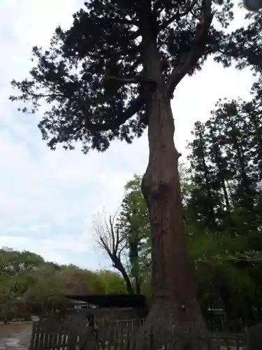 弘経寺(茨城県)
