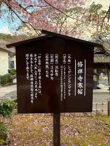 修禅寺の{uncategorized: "未分類", other: "その他", undefined: "問題あり", building: "その他建物", grave: "お墓", sacred_gate: "鳥居", guardian: "狛犬", statue: "像", buddha: "仏像", history: "歴史", nature: "自然", garden: "庭園", animal: "動物", pagoda: "塔", temizu: "手水舎", mountain_gate: "山門・神門", sanctuary: "本殿・本堂", subordinate: "末社・摂社", art: "芸術", scenery: "景色", jizo: "地蔵", ema: "絵馬", goshuin: "御朱印", omikuji: "おみくじ", items: "授与品その他", amulet: "お守り", goshuincho: "御朱印帳", eats: "食事", festival: "お祭り", votive_dance: "神楽", shichigosan: "七五三参", wedding: "結婚式", experience: "体験その他", initially: "初詣", around: "周辺", anti_infection: "感染症対策"}
