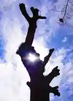 三津厳島神社(愛媛県)