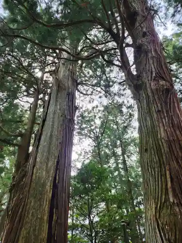 鷲子山上神社(栃木県)