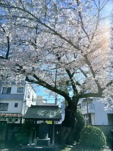 観音寺(東京都)