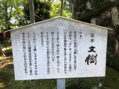 智恩寺(京都府)