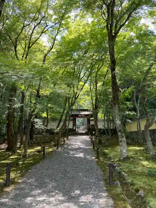 地蔵院(京都府)