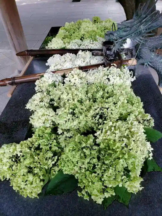 熊野神社の手水舎