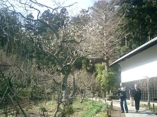 東慶寺の景色