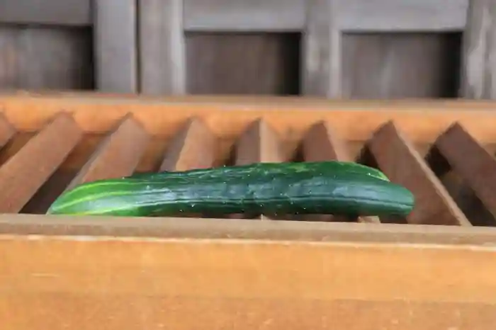 八雲神社の建物その他