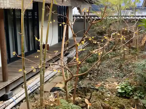 遠照山 光明寺（尼崎大仏）(兵庫県)