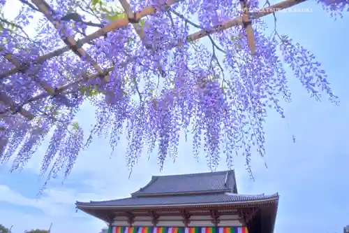 西新井大師総持寺(東京都)