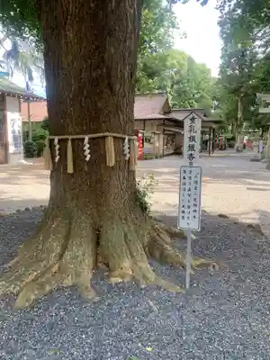 薬師寺八幡宮(栃木県)