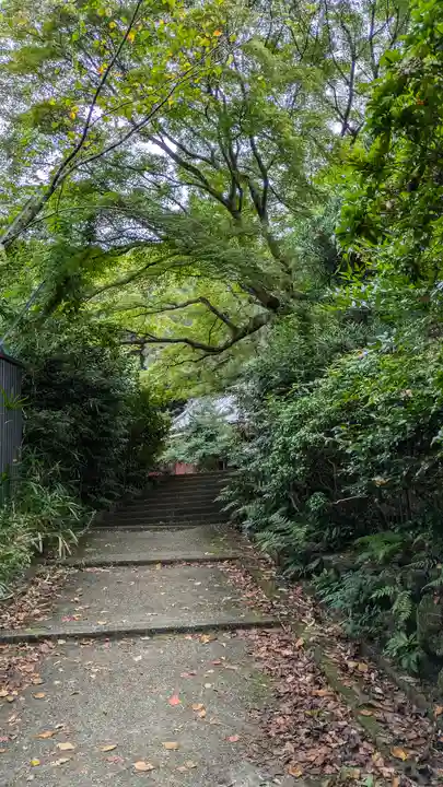 尊勝院(京都府)