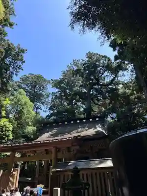 鹿島神宮(茨城県)