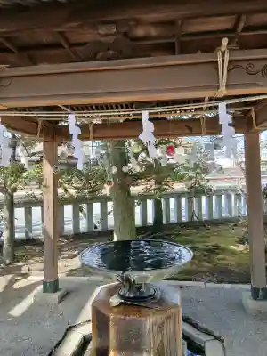 小名浜諏訪神社 ～海の鎮守様～の{uncategorized: "未分類", other: "その他", undefined: "問題あり", building: "その他建物", grave: "お墓", sacred_gate: "鳥居", guardian: "狛犬", statue: "像", buddha: "仏像", history: "歴史", nature: "自然", garden: "庭園", animal: "動物", pagoda: "塔", temizu: "手水舎", mountain_gate: "山門・神門", sanctuary: "本殿・本堂", subordinate: "末社・摂社", art: "芸術", scenery: "景色", jizo: "地蔵", ema: "絵馬", goshuin: "御朱印", omikuji: "おみくじ", items: "授与品その他", amulet: "お守り", goshuincho: "御朱印帳", eats: "食事", festival: "お祭り", votive_dance: "神楽", shichigosan: "七五三参", wedding: "結婚式", experience: "体験その他", initially: "初詣", around: "周辺", anti_infection: "感染症対策"}