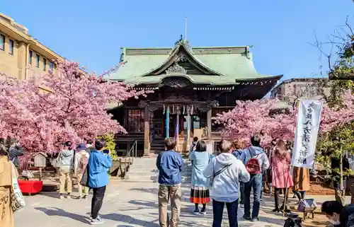 桜神宮(東京都)