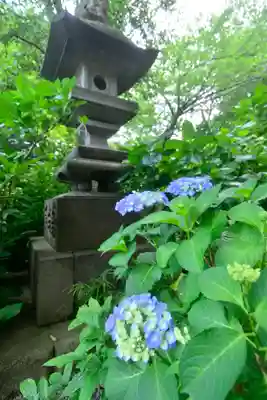 高幡不動尊　金剛寺(東京都)