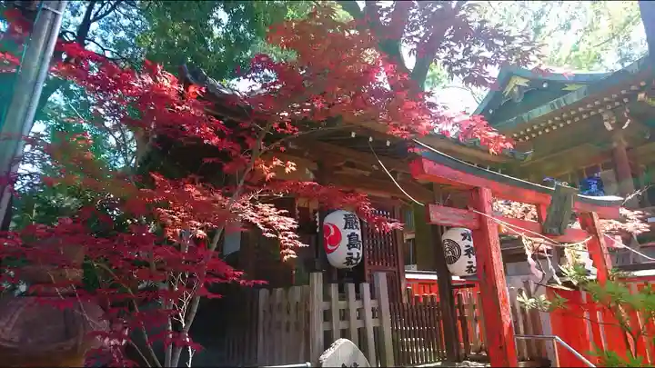 馬橋稲荷神社の末社・摂社