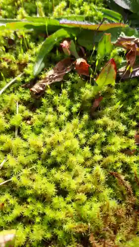 弥照神社(北海道)