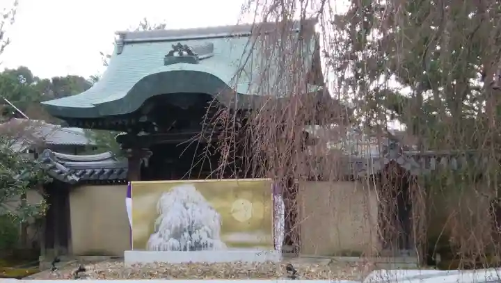 高台寺(高台寿聖禅寺・高臺寺)の山門・神門