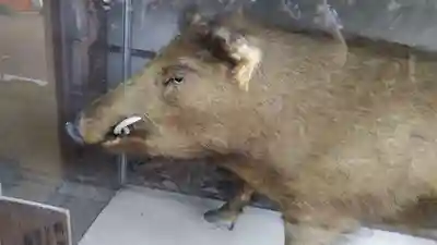 護王神社(京都府)