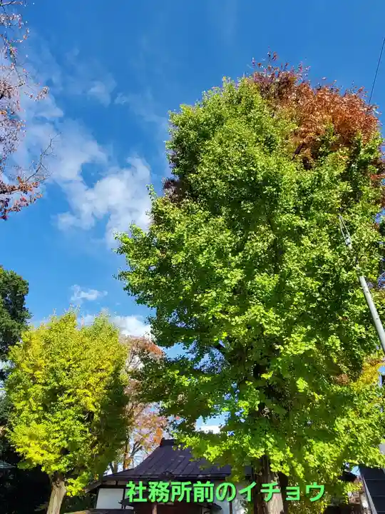 阿邪訶根神社(福島県)