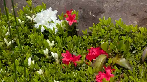 乘願院(京都府)