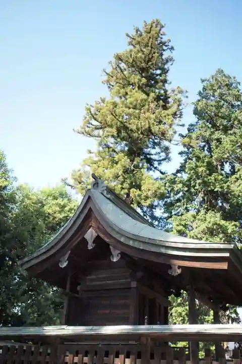 大井俣神社の本殿・本堂