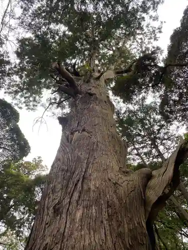 麻賀多神社(千葉県)