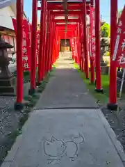 於菊稲荷神社(群馬県)