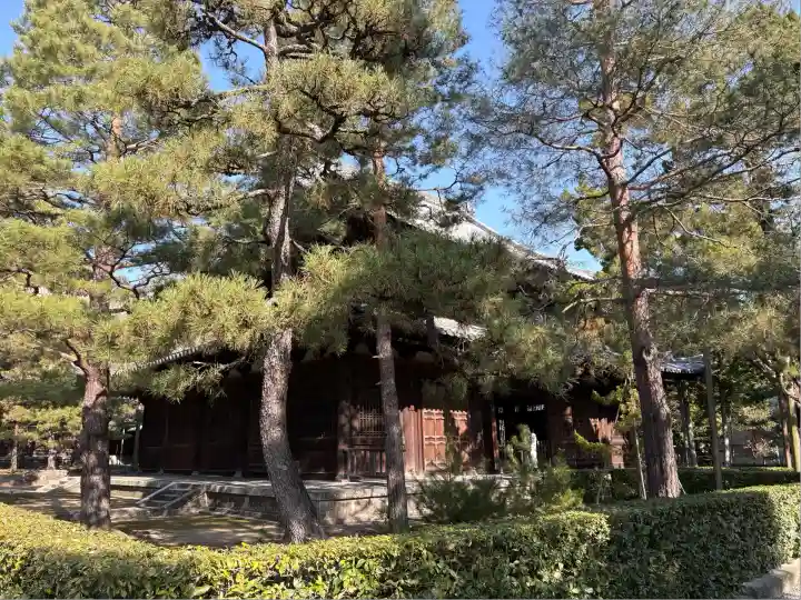 大徳寺(京都府)