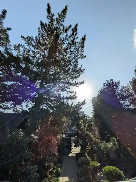 玄国寺(東京都)