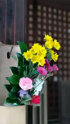 正行院(猿寺)の自然