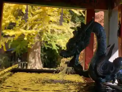 北口本宮冨士浅間神社の手水舎