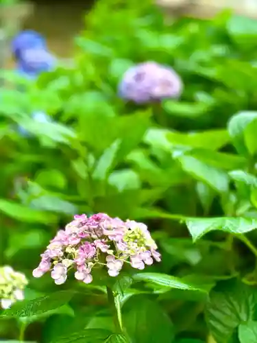 生田神社(兵庫県)
