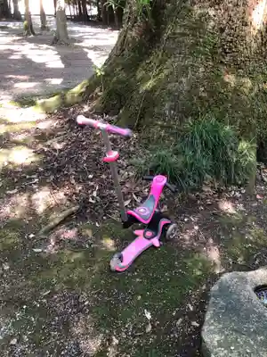神麻続機殿神社(皇大神宮所管社)の自然