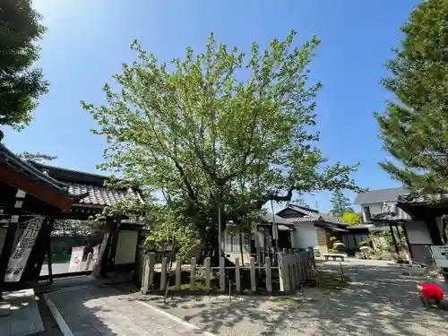長光寺のその他建物