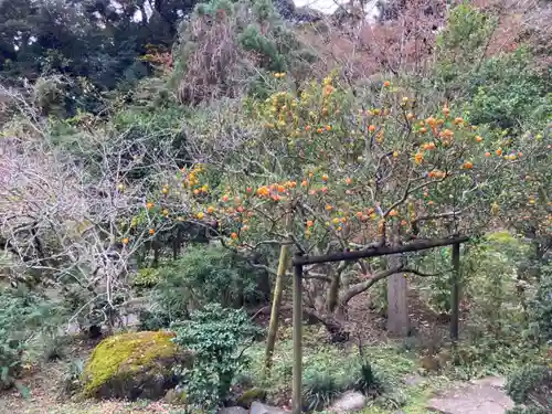 光則寺(神奈川県)