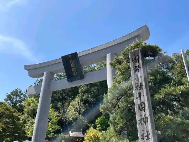 小國神社の{uncategorized: "未分類", other: "その他", undefined: "問題あり", building: "その他建物", grave: "お墓", sacred_gate: "鳥居", guardian: "狛犬", statue: "像", buddha: "仏像", history: "歴史", nature: "自然", garden: "庭園", animal: "動物", pagoda: "塔", temizu: "手水舎", mountain_gate: "山門・神門", sanctuary: "本殿・本堂", subordinate: "末社・摂社", art: "芸術", scenery: "景色", jizo: "地蔵", ema: "絵馬", goshuin: "御朱印", omikuji: "おみくじ", items: "授与品その他", amulet: "お守り", goshuincho: "御朱印帳", eats: "食事", festival: "お祭り", votive_dance: "神楽", shichigosan: "七五三参", wedding: "結婚式", experience: "体験その他", initially: "初詣", around: "周辺", anti_infection: "感染症対策"}