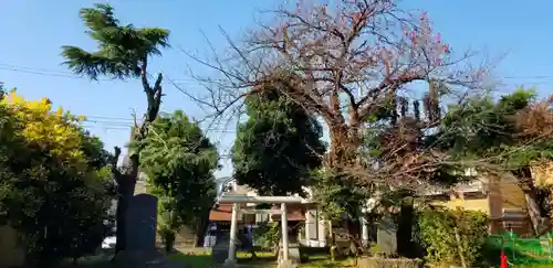 興之宮神社のその他建物