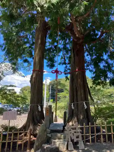武雄神社(佐賀県)