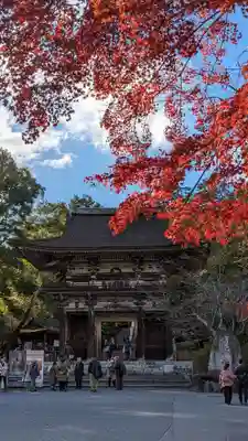 園城寺（三井寺）(滋賀県)