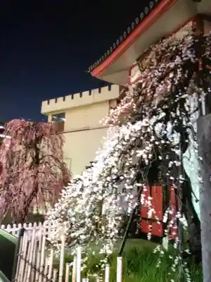 成願寺(東京都)