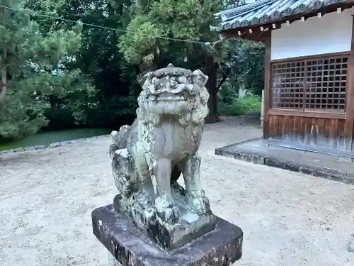 糸井神社の狛犬