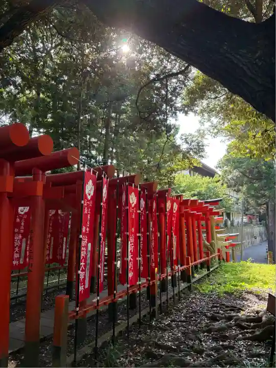 大杉神社(茨城県)