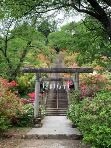 愛宕神社の鳥居