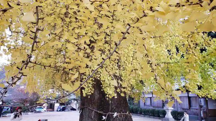 丹生酒殿神社の自然